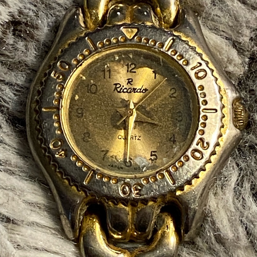 Ricardo link watch